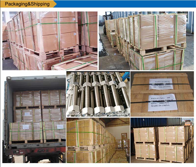 สแตนเลสสตีลรายชื่อ-กรู-สกรูยึดบรรจุ